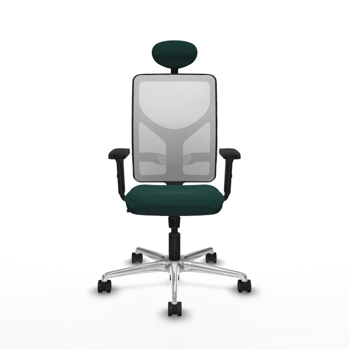 PIQUERAS Y CRESPO Silla de oficina Motilla con mecanismo Sincro, Verde botella y Blanco PIQUERAS Y CRESPO Silla de oficina Motilla con mecanismo Sincro, Verde botella y Blanco