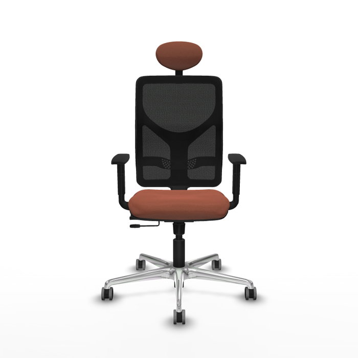PIQUERAS Y CRESPO Silla de oficina Motilla con mecanismo Sincro/Traslack, Marrón y Negro PIQUERAS Y CRESPO Silla de oficina Motilla con mecanismo Sincro/Traslack, Marrón y Negro