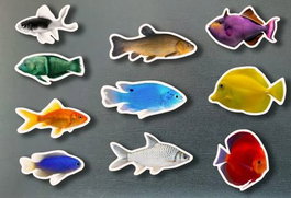 NOWORDBOOKS SCP, Magnéticos peces de colores