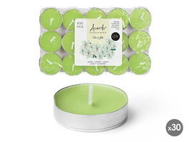 Acorde Set 30 Velas Tea Light Jazmín 3H Verdes 19x11.2x2.7 cm (Set de 24)