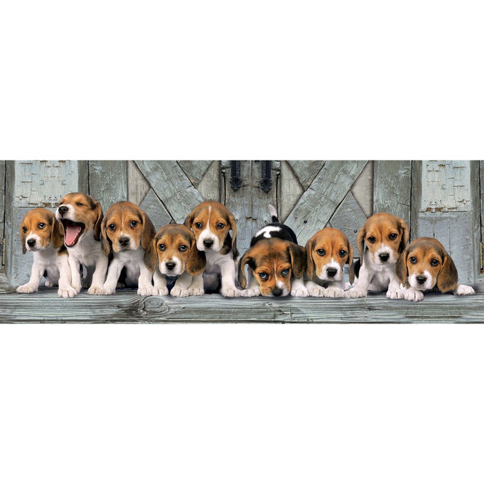 CLEMENTONI Puzzle Panorama Beagles 1000 piezas