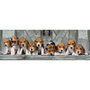 CLEMENTONI Puzzle Panorama Beagles 1000 piezas