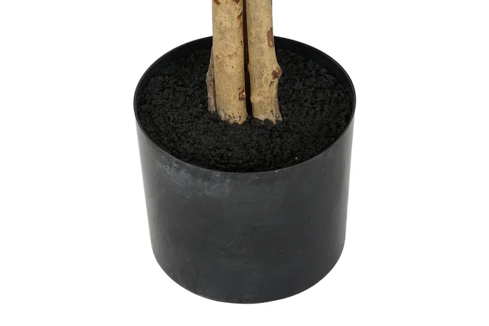 DKD Home Decor Árbol Ficus Verde 50x50x150 cm