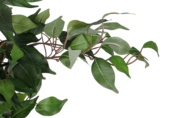 DKD Home Decor Árbol Ficus Verde 50x50x150 cm