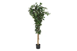 DKD Home Decor Árbol Ficus Verde 50x50x150 cm