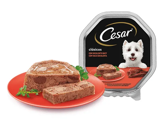 Cesar Megapack Perro Senior Pollo y Arroz en Gelatina 20 + 8 Tarrinas de 150g