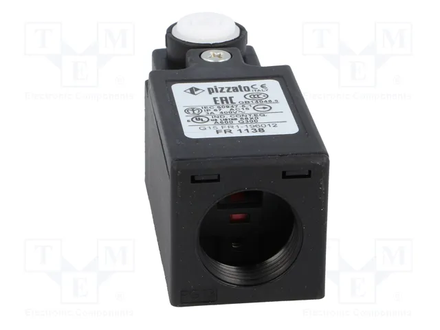 PIZZATO ELETTRICA FR 1138 Interruptor de fin de carrera NC x2 10A 250VAC PG13,5