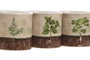 DKD Home Decor Set de 3 Maceteros de Cerámica para Hierbas Verde y Marrón