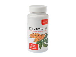 Guarana (Piracuru)