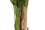 DKD Home Decor Planta Tropical Palmera Artificial Verde y Marrón 90x203x90 cm (2 Unidades)