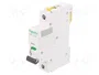 SCHNEIDER ELECTRIC Interruptor magnetotérmico ACTI9 iC60H 16A 1P Característica B