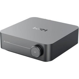 WiiM Amp Amplificador Multiroom con Streaming y Control por Voz, Gris