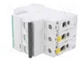 SCHNEIDER ELECTRIC Interruptor magnetotérmico iC60N 40A 3 polos Caract D