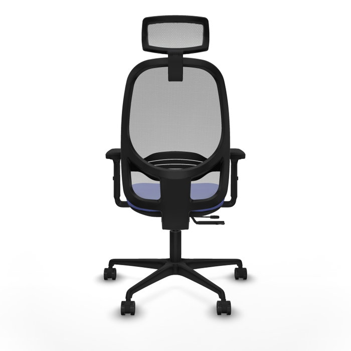 PIQUERAS Y CRESPO Silla de oficina Cilanco con mecanismo Sincro/Traslack, Azul claro y Gris PIQUERAS Y CRESPO Silla de oficina Cilanco con mecanismo Sincro/Traslack, Azul claro y Gris