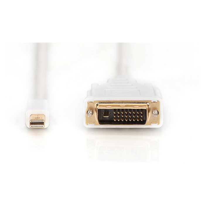 Digitus Cable Mini DisplayPort a DVI-D (24+1) Macho/Macho 8K, 2 Metros, Blanco Digitus Cable Mini DisplayPort a DVI-D (24+1) Macho/Macho 8K, 2 Metros, Blanco