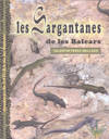 Les sargantanes de les balears, DOCUMENTA BALEAR
