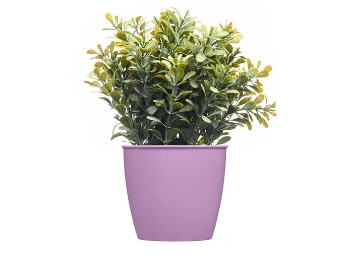 Stefanplast Maceta Redonda Academy Lux Surt Col Verde Blanco Morado Gris Amarillo 11.3x10x11.3 cm (Set de 60)