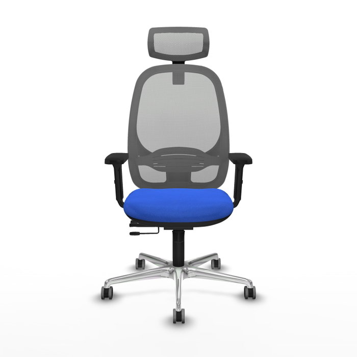 PIQUERAS Y CRESPO Silla de oficina Cilanco con mecanismo Sincro/Traslack, Azul y Gris PIQUERAS Y CRESPO Silla de oficina Cilanco con mecanismo Sincro/Traslack, Azul y Gris