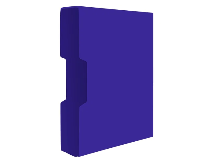 Liderpapel Carpeta Personaliza 37862 A4 Azul con 100 Fundas de Polipropileno y Cajetín