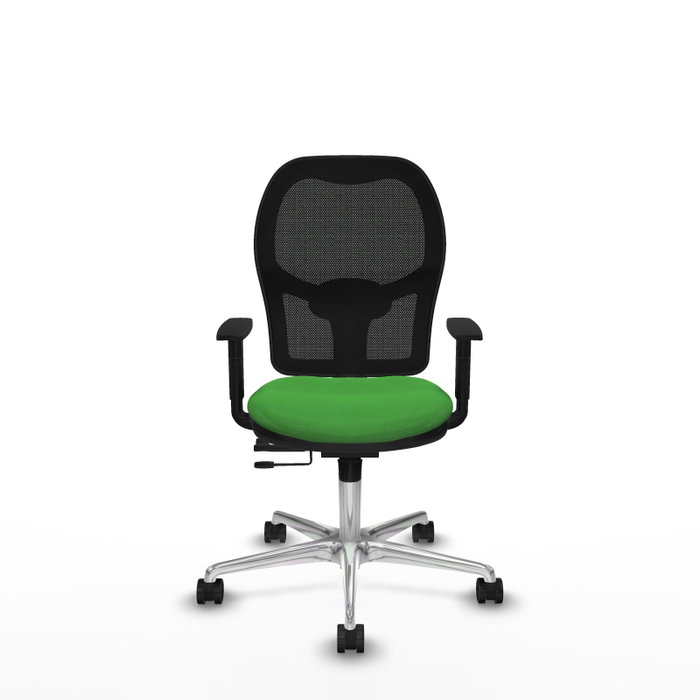 PIQUERAS Y CRESPO Silla de oficina Jorquera Verde con mecanismo Sincro/Traslack PIQUERAS Y CRESPO Silla de oficina Jorquera Verde con mecanismo Sincro/Traslack