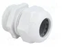OBO Bettermann OBO V-TEC VM32 LGR Prensaestopas M32 Gris claro