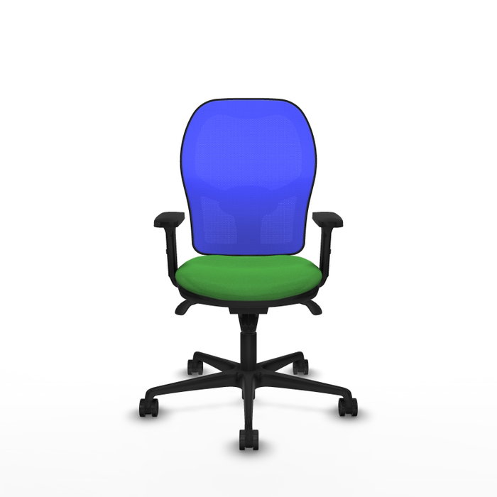 PIQUERAS Y CRESPO Silla de oficina Jorquera con mecanismo Sincro, Tela Verde y Malla Azul PIQUERAS Y CRESPO Silla de oficina Jorquera con mecanismo Sincro, Tela Verde y Malla Azul