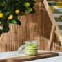 Home Deco Factory Vela Citronela Antimoustique Tarro Limones 150g Duración 25h