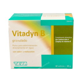 VITADYN B Polvo Oral granulado 40 sobres