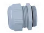 Lapp SKINTOP 53111050 M40x1.5 Gris, Pack de 10 unidades
