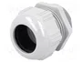 Lapp SKINTOP 53111050 M40x1.5 Gris, Pack de 10 unidades