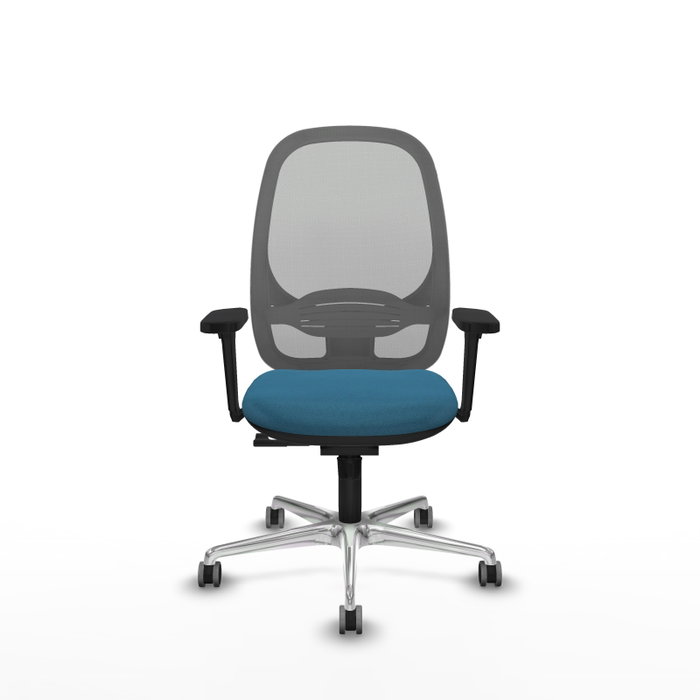 PIQUERAS Y CRESPO Silla de oficina Cilanco con mecanismo Sincro, Verde petróleo y Gris PIQUERAS Y CRESPO Silla de oficina Cilanco con mecanismo Sincro, Verde petróleo y Gris