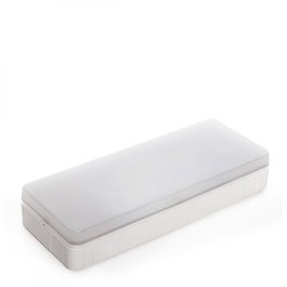 Esera Alumbrado de Emergencia LED 110Lm 1H Autonomía IP44 Blanco