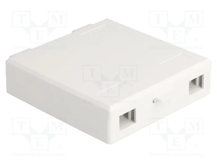 DeLOCK Caja de conexión de fibra óptica para montaje en pared 2 x SC Simplex o LC Duplex, blanco DeLOCK Caja de conexión de fibra óptica para montaje en pared 2 x SC Simplex o LC Duplex, blanco