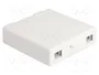 DeLOCK Caja de conexión de fibra óptica para montaje en pared 2 x SC Simplex o LC Duplex, blanco