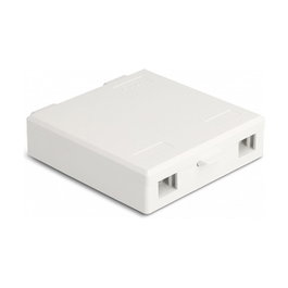 DeLOCK Caja de conexión de fibra óptica para montaje en pared 2 x SC Simplex o LC Duplex blanco