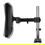 ARCTIC Z1 (Gen3) Soporte para Monitor de Escritorio, 1 Monitor hasta 43", 15 kg, Negro
