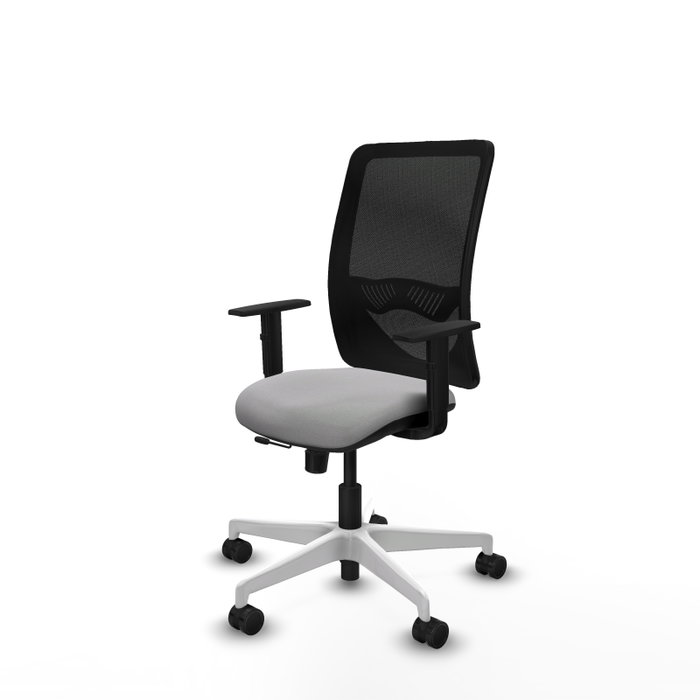 PIQUERAS Y CRESPO Silla de oficina Zulema con mecanismo Sincro/Traslack, Gris claro y Negro PIQUERAS Y CRESPO Silla de oficina Zulema con mecanismo Sincro/Traslack, Gris claro y Negro