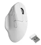 Keychron M7-A24 Ratón Ergonómico Inalámbrico 2.4Ghz/Bluetooth PixArt 3950 8K Blanco 30000 DPI
