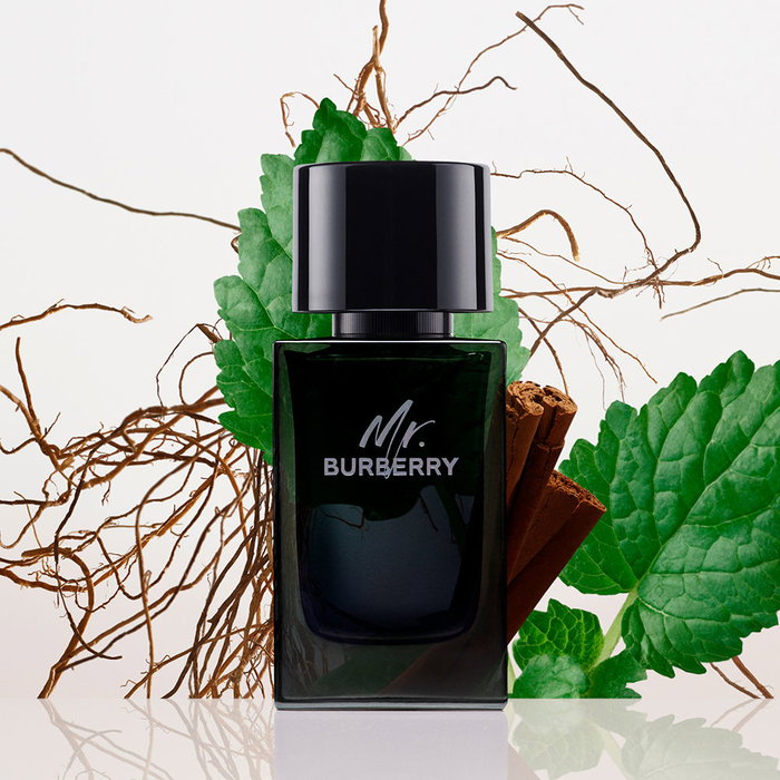 Burberry Mr. Burberry Eau de Parfum Vaporizador 100 ml Hombre Burberry Mr. Burberry Eau de Parfum Vaporizador 100 ml Hombre