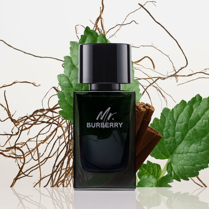Burberry Mr. Burberry Eau de Parfum 100 ml Burberry Mr. Burberry Eau de Parfum 100 ml