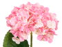 Ibergarden Rama Flores Rosa 62 cm Plástico Decoración (Set de 12)