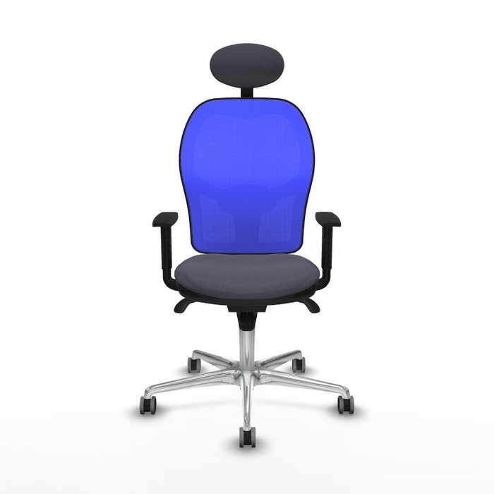 PIQUERAS Y CRESPO Silla de oficina Jorquera, Gris oscuro/Azul PIQUERAS Y CRESPO Silla de oficina Jorquera, Gris oscuro/Azul