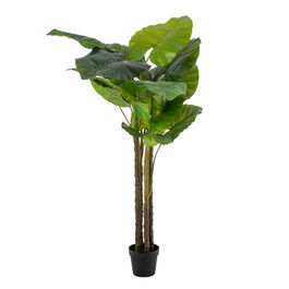 Planta Filodendro Verde Artificial 100 X 60 X 155 cm