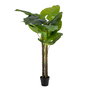 Planta Filodendro Verde Artificial 100 X 60 X 155 cm