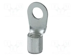 PHOENIX CONTACT Terminal de ojillo M8 25mm2 de plata