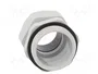 FIBOX Sello aislante M40 gris