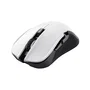 Trust GXT 923W YBAR Ratón Gaming Inalámbrico Blanco 7200 DPI