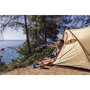 Coleman Darwin Summer 4 Plus