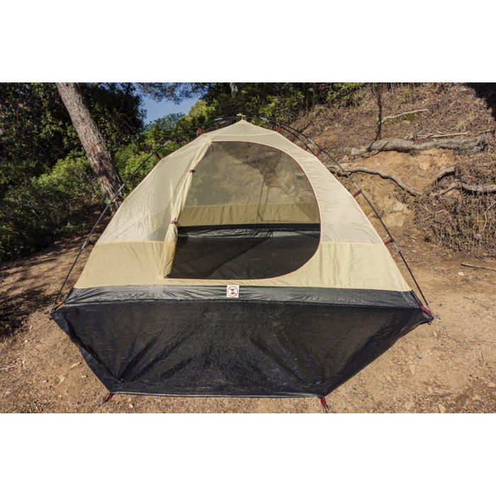 Coleman Darwin Summer 4 Plus