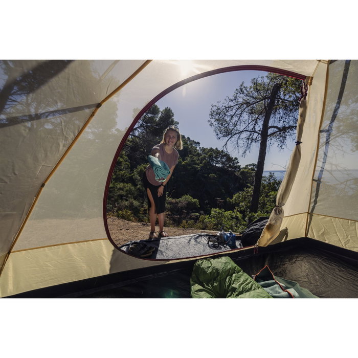 Coleman Darwin Summer 4 Plus
